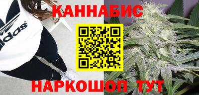 МДПВ Волгодонск