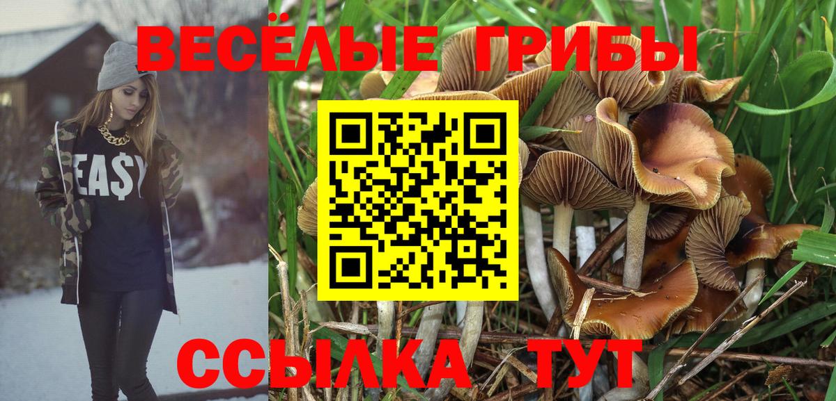 Галлюциногенные грибы Psilocybine cubensis Печора