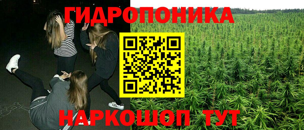 Бошки Шишки индика  Каннабис индика  Вход с VPN  Бошки Шишки конопля  Печора 